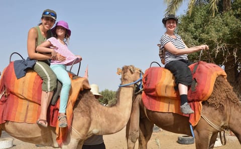 Camel Riding and BBQ Dinner at Sunset in Agadir