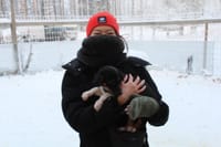 1,5 hour husky experience - 5km Husky Safari & Farm Visit 8