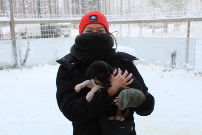 1,5 hour husky experience - 5km Husky Safari & Farm Visit 8