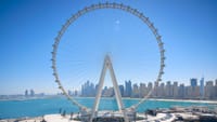Private Half Day Dubai City Tour with Dubai Mall Shopping, Aquarium & Zoo, Burj Khalifa 148th floor & Musical Fountain Show 7