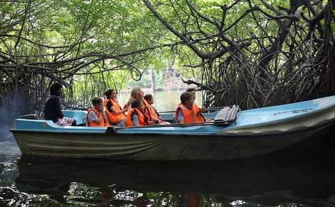 Boat Safari and Coral Reef Tour in Hikkaduwa from Hambantota