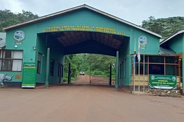 Ngorongoro Crater Wildlife Safari Day Trip from Arusha