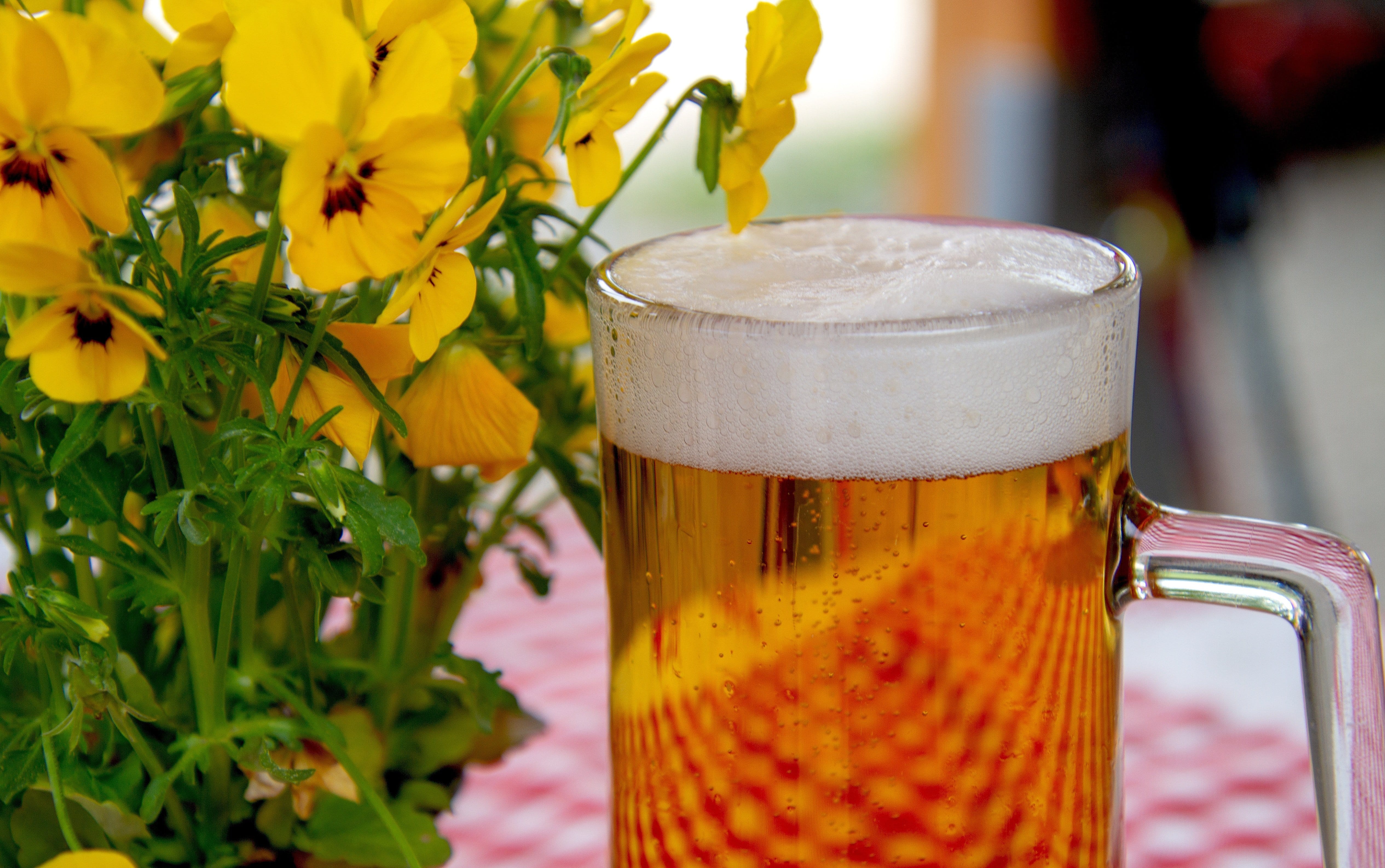 Freshly tapped beer