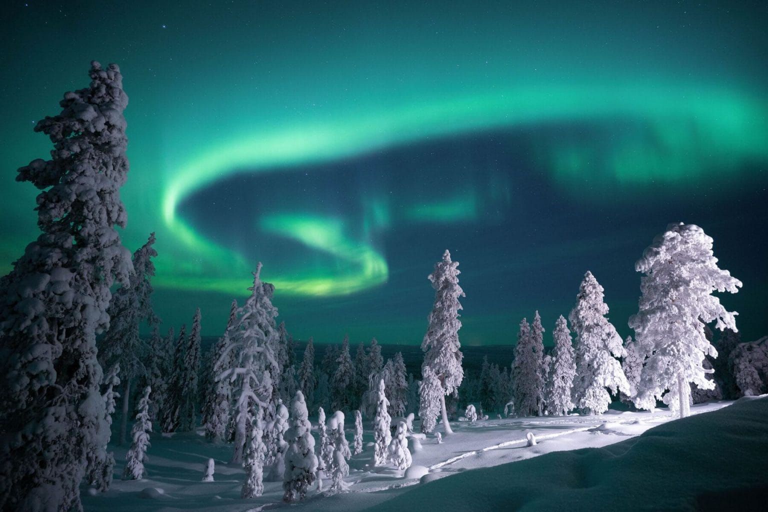 Under the Arctic Stars: A Rovaniemi Night Hike