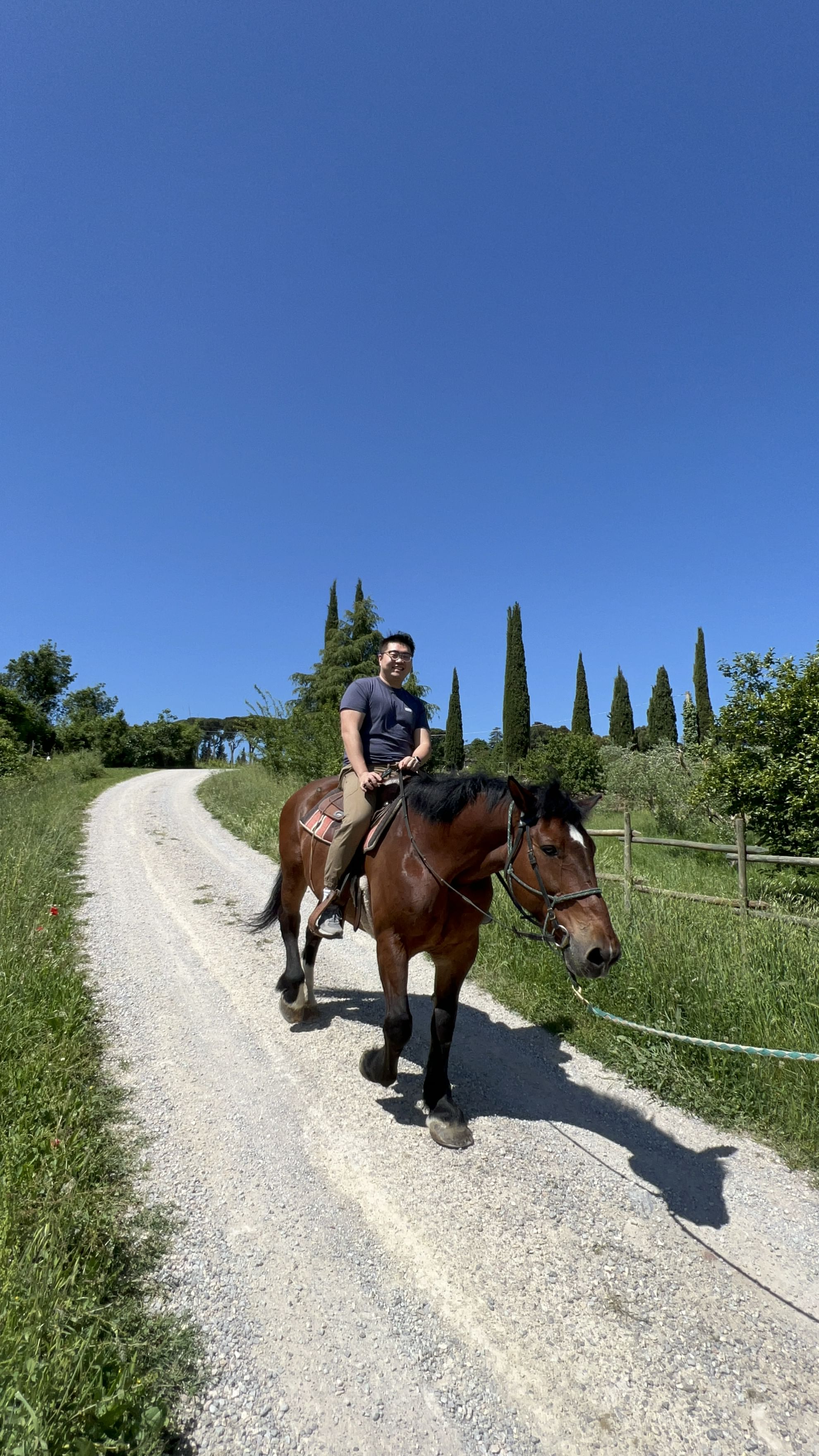 Passeggiata a cavallo in Toscana tra i vigneti di Montepulciano