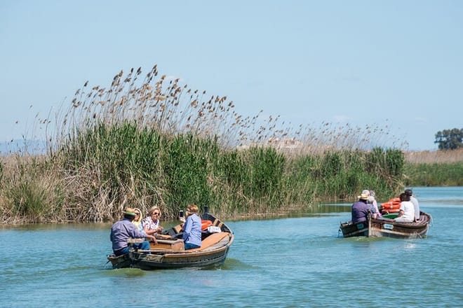 Albufera Private Day Tour: Paella, Boat Cruise and Nature Walk