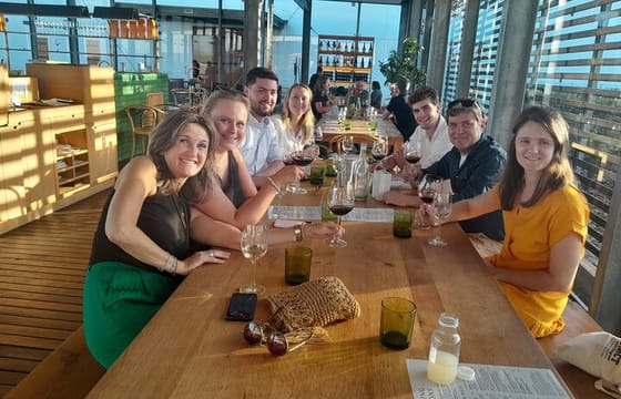 Table Mountain and Stellenbosch Wine Tasting Private Tour