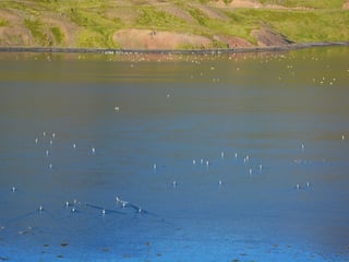 Grand Tour of Iceland (12D/12N), photo 132