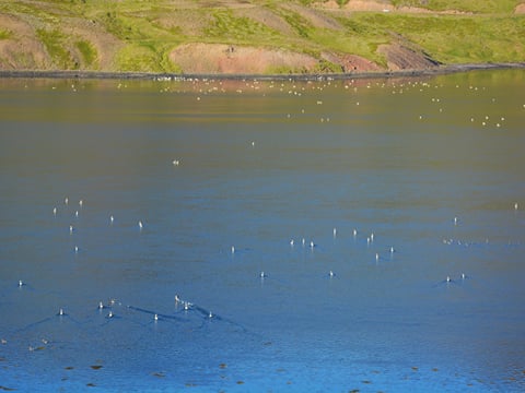 Grand Tour of Iceland (12D/12N), photo 132