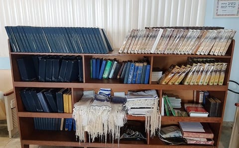 Jewish Heritage Tour of Manaus and the Amazon Opera House