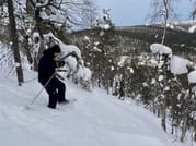 Private tour: Snowshoeing in Levi  10