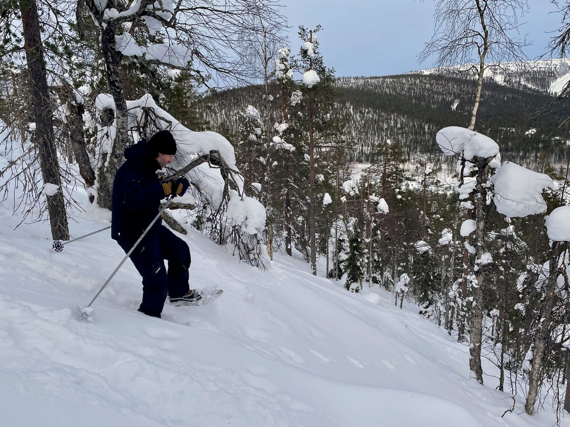 Private tour: Snowshoeing in Levi  10