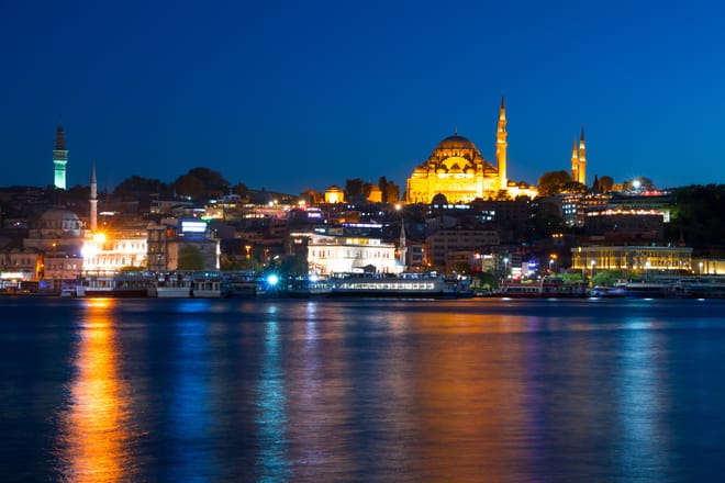 Bosphorus Dinner Cruise & Show with Private Table (TURNA) 10