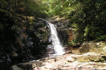 Hoi An: Full-day Bach Ma National Park Trek And Beach Retreat