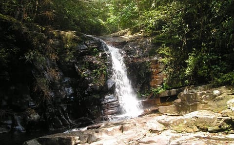 Full-Day Trek in Bach Ma National Park and Lang Co Beach from Hoi An
