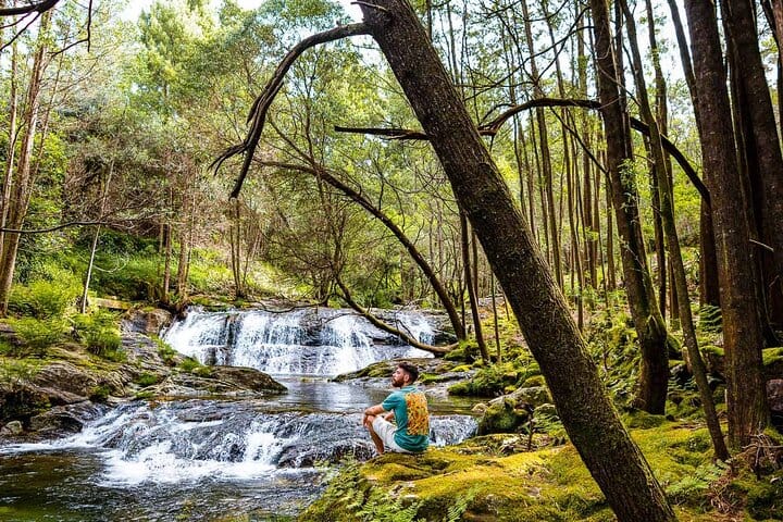 Hike, Dive & Dine in Serra d'Arga – image 32