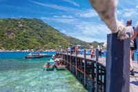 SAMUI: Koh Tao - Koh Nangyuan Naton Park by Speed Boat 10