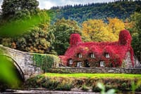 Portmeirion, Castles and Snowdonia Tour 7