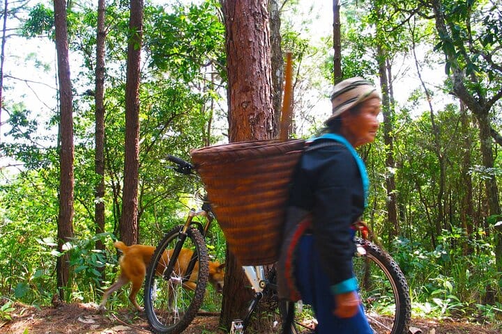 Chiang mai Suthep National Park Leisure Hiking & Mountain Biking