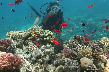 diving trip to tiran island