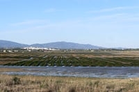 Full Day Tour Eastern Algarve 3