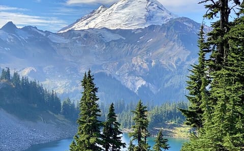 Full-Day Mt. Baker and Cascades Tour from Seattle