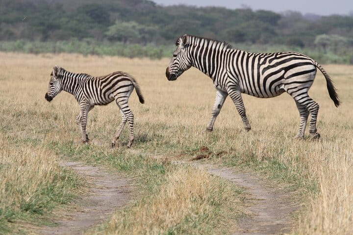 15 minutes scenic helicopter flight above Victoria Falls-Zimbabwe