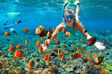 Speedboat and Snorkeling Adventure in Punta Cana