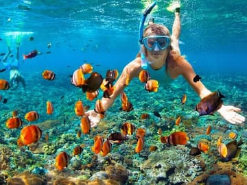 Speedboat and Snorkeling Adventure in Punta Cana