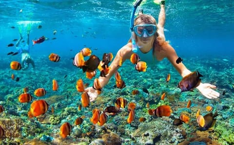 Speedboat and Snorkeling Adventure in Punta Cana