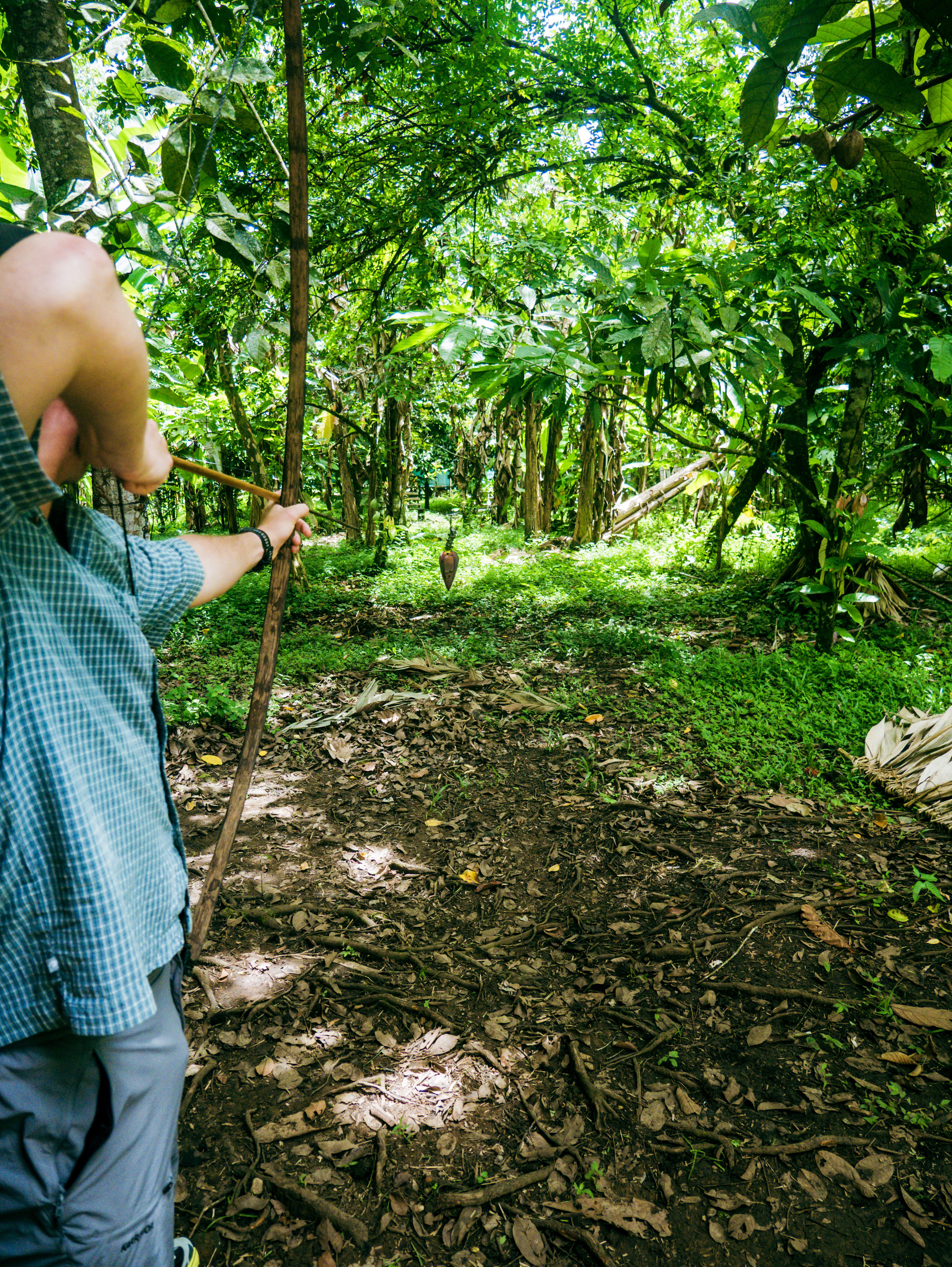 Visitor practicing traditional Bribri archery with a handmade bow in the rainforest during a cultural tour in Yorkín, Costa Rica.
