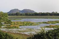3 Days National Park Safari Trail  6