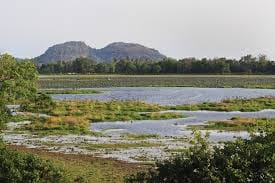 3 Days National Park Safari Trail  6