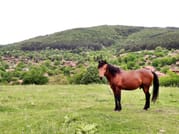 8-Day Private Tour Highlights of Bulgaria 2