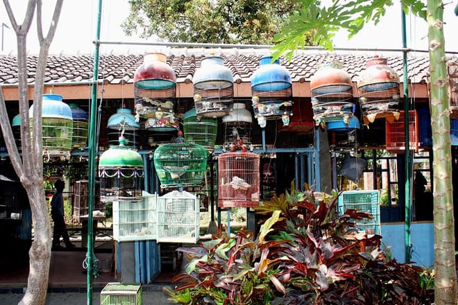 Denpasar Self-Guided Audio Tour 8