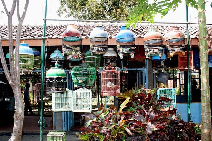 Denpasar Self-Guided Audio Tour 8