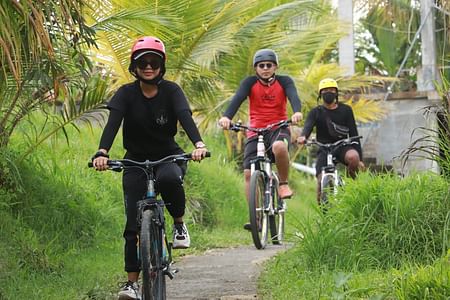 Bali Cycling Adventure with Private Hotel Transfer & River Tubing Option