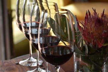 Wine Tasting and Big 5 Safari in Cape Winelands