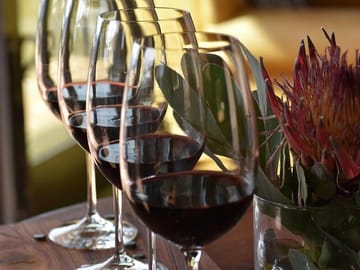 Wine Tasting and Big 5 Safari in Cape Winelands