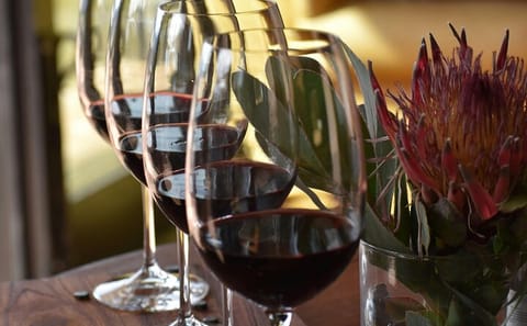 Wine Tasting and Big 5 Safari in Cape Winelands