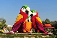 Dubai Garden Glow Tickets with Transport Options 3