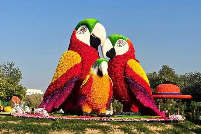 Dubai Garden Glow Tickets with Transport Options photo 3
