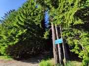 Local Adventures in the Rhodope Mountains 7