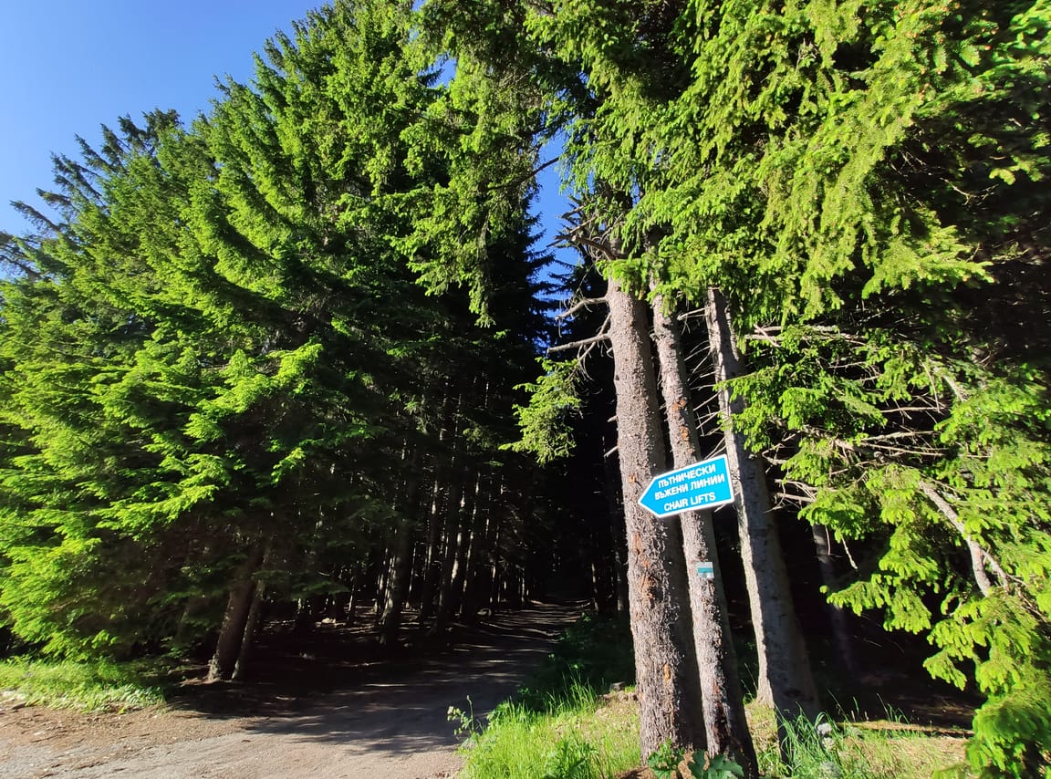 Local Adventures in the Rhodope Mountains 7