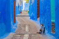 Chefchaouen Private Tour from Fez 10