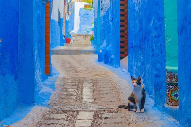 Chefchaouen Private Tour from Fez 10