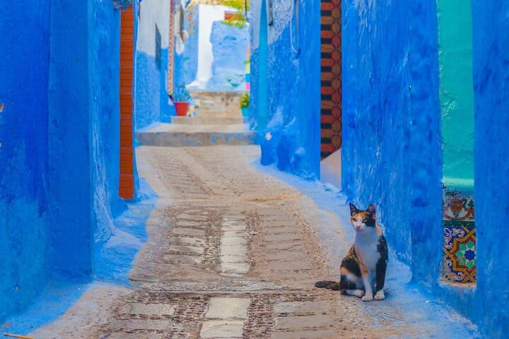 Chefchaouen Private Tour from Fez 10