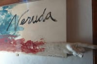 Full day private tour Isla negra poetry and wine from Santiago 1
