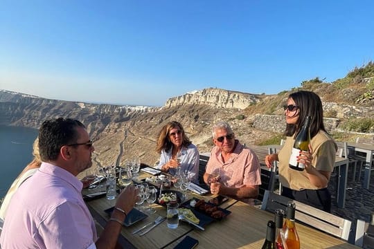 Santorini Private Wine Tasting with Dinner at Venetsanos Winery 