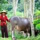 Pu Luong & Ninh Binh 3 Days Tour
